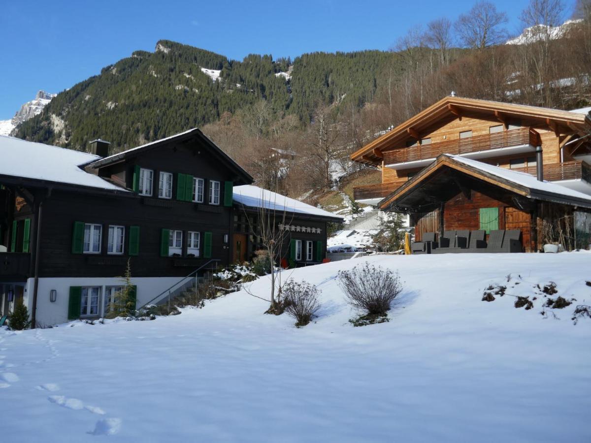 Apartment Chalet Schwendihus-10 By Interhome Grindelwald Exteriér fotografie